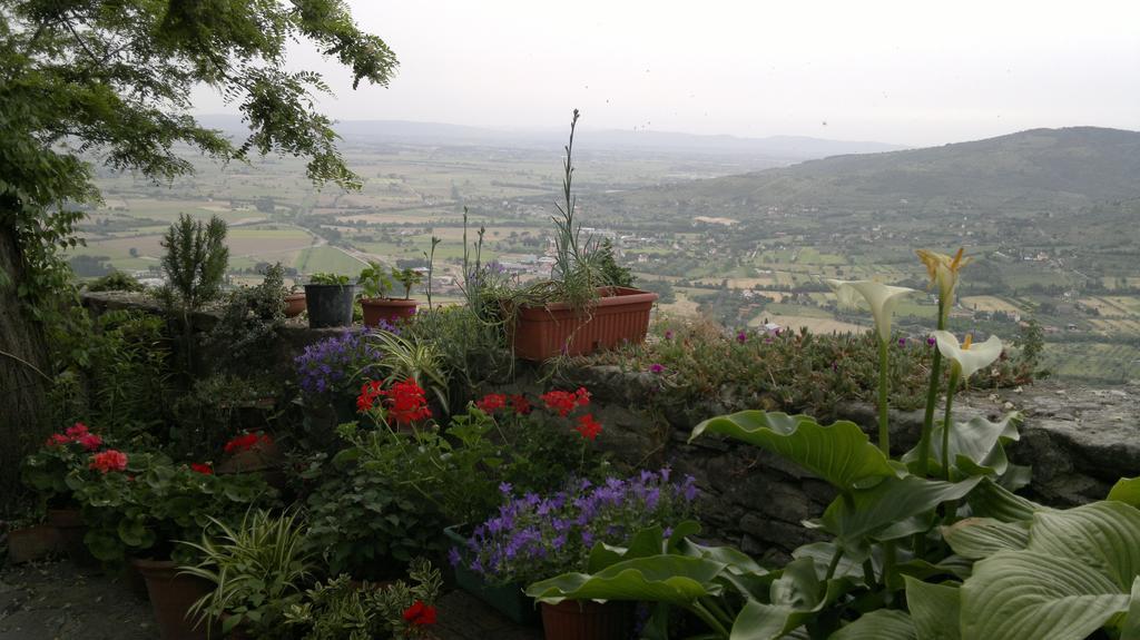 Casa Mia A Cortona Apartman Szoba fotó